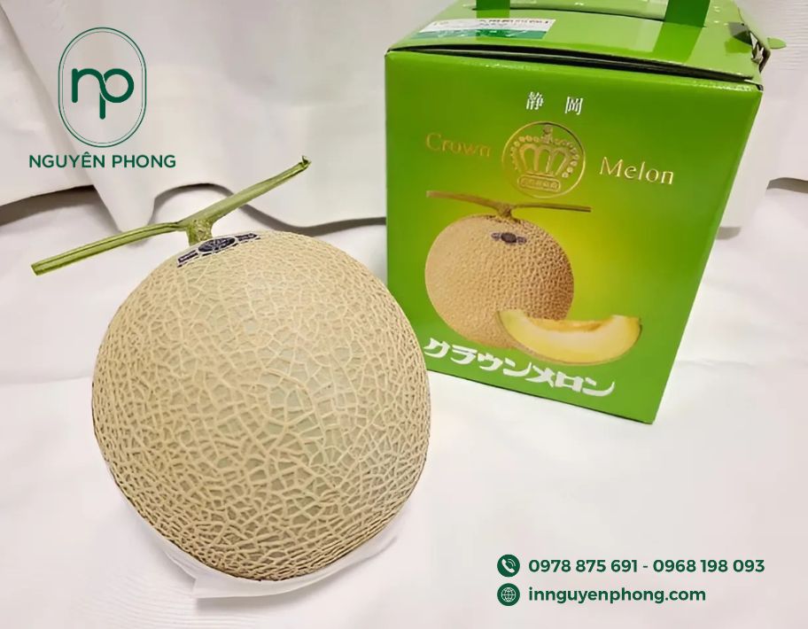 mau-hop-giay-dung-1-qua-dua-luoi